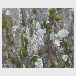 Papel De Presente Nature Moss Lichen Camouflage Foto