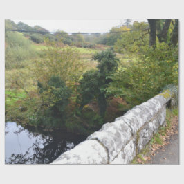 Papel De Presente nature way of impersonating animals