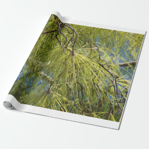 Papel De Presente O arco do pinho