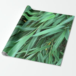 Papel De Presente O bambu deixa fundo