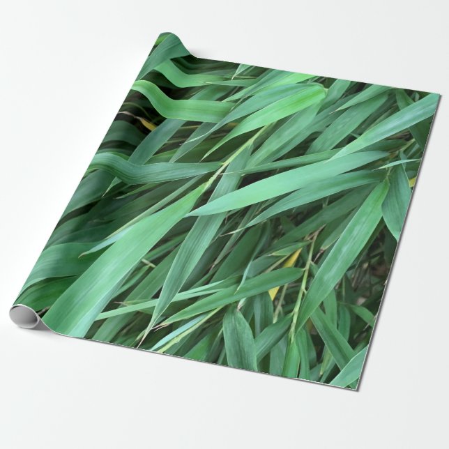 Papel De Presente O bambu deixa fundo (Desenrolado)