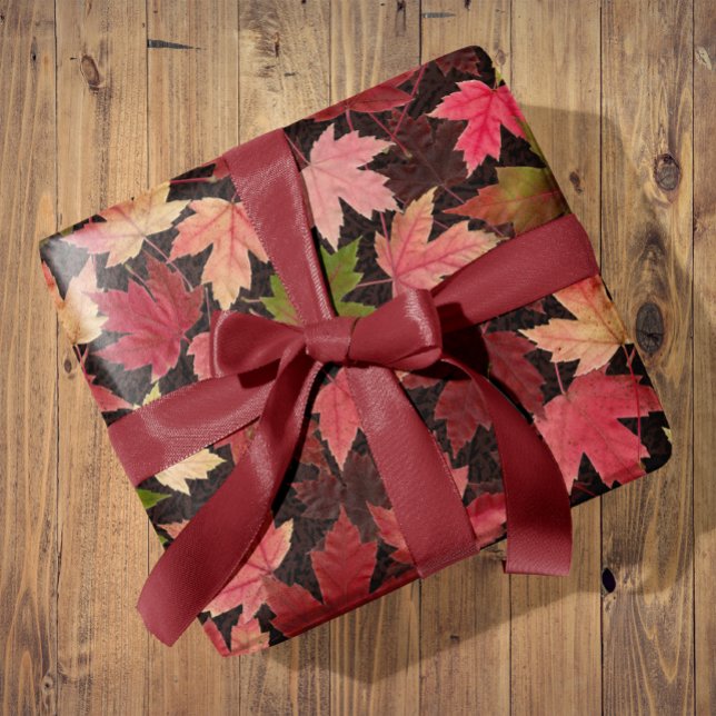 Papel De Presente O Pico Caindo Deixa Todo Papel De Enrolar Ocasião (Cozy Falling Leaves All Occasion Wrapping Paper
Beautiful maple leaves in red, pink, green, gold.)