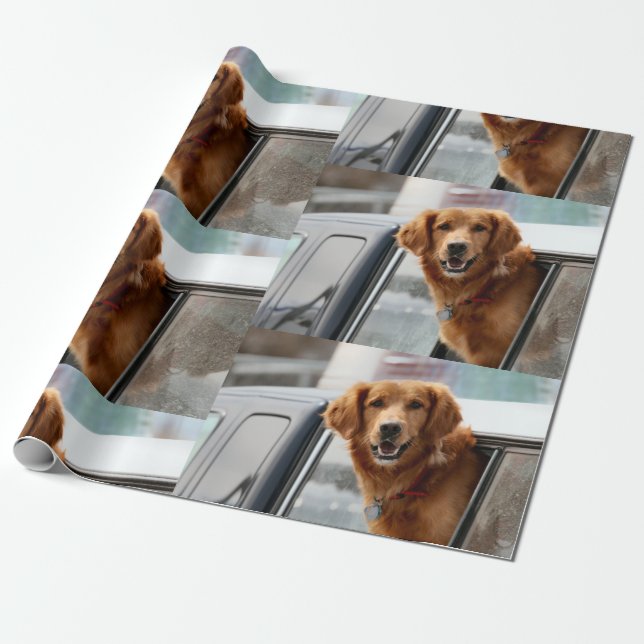 Papel De Presente Olá (Desenrolado)