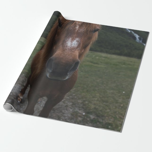 PAPEL DE PRESENTE OLÁ, EU SOU UM CAVALO (Desenrolado)