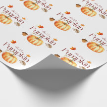 Olá Pumpkin Holiday Wrap