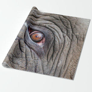 Papel De Presente Olho de elefante animal fechado