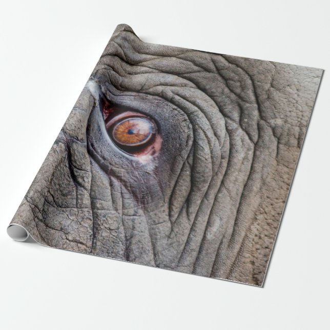 Papel De Presente Olho de elefante animal fechado (Desenrolado)