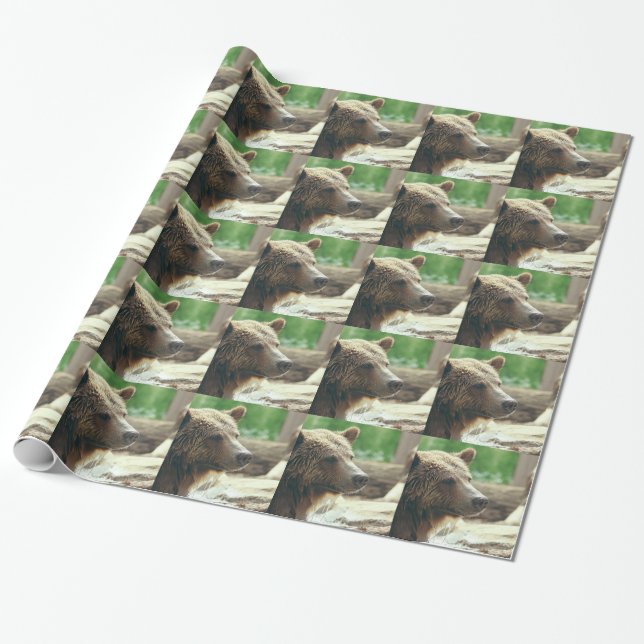 Papel De Presente Olhos animais da cara do urso adorável bonito da (Desenrolado)