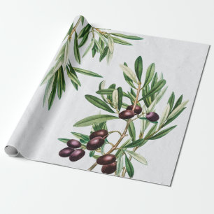Papel De Presente Olive Folha da Grécia Mediterrânica