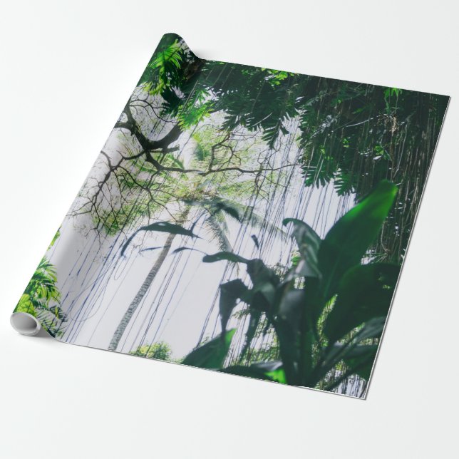 Papel De Presente Ondas marítimas (Desenrolado)