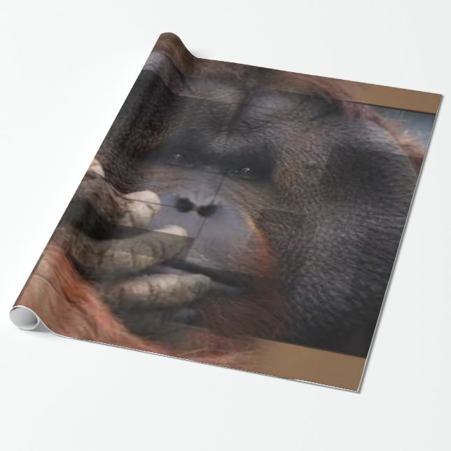 Papel De Presente Orangutan Wrapping Paper (Desenrolado)