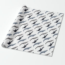 Papel De Presente Orca, ballena jorobada y ballena gris