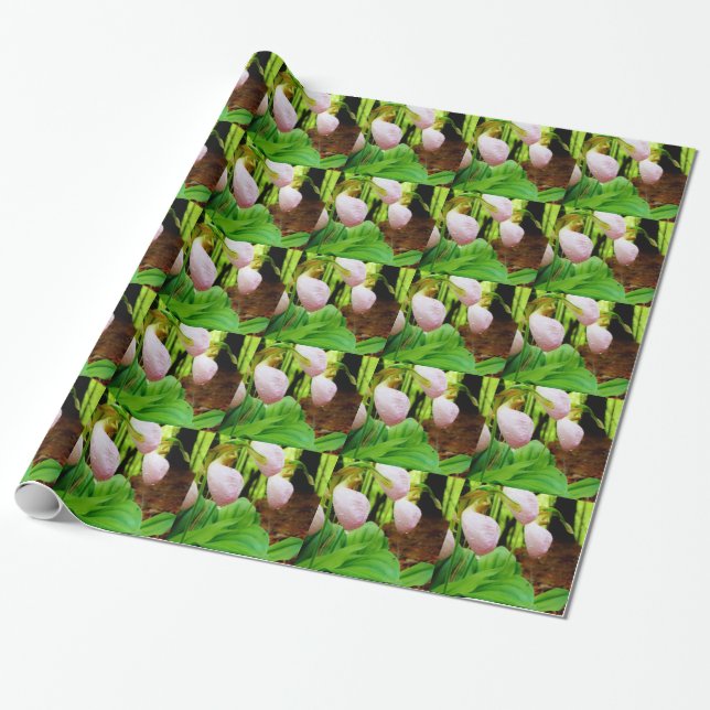 Papel De Presente Orquídea silvestre de Lady Slipper Rosa (Desenrolado)