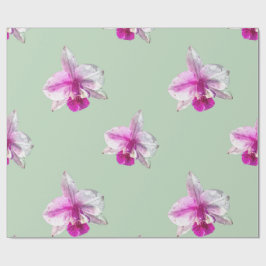 Papel De Presente Orquídeas tropicais cor-de-rosa lindas