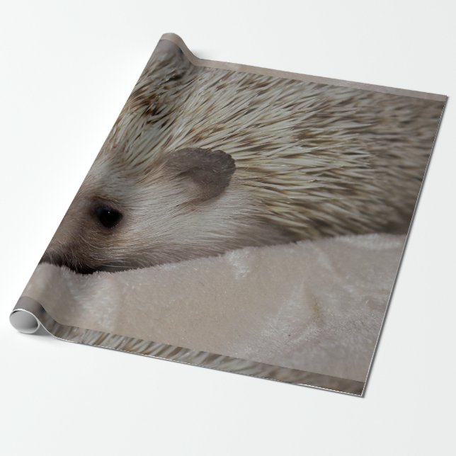 Papel De Presente Ouriço de sorriso (Desenrolado)