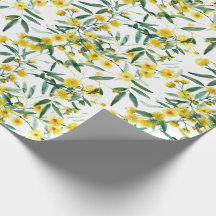 Ouro de flor selvagem australiano Wattle