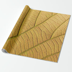 Papel De Presente Ouro de folha amarela pela manhã.