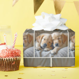 Papel De Presente Ouro Retriever Cuppies Dormindo