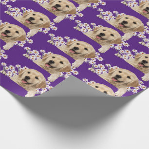 Papel De Presente Ouro Retriever em margaridas em roxo