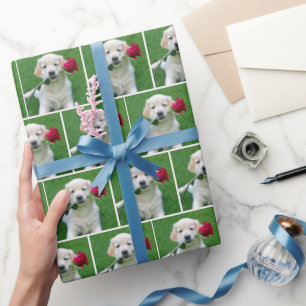 Papel De Presente Ouro Retriever Puppy Com Rosa vermelha