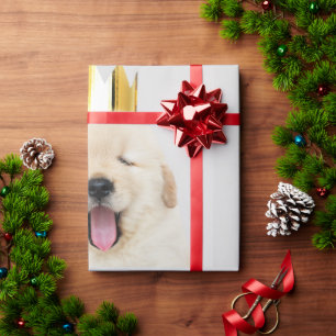 Papel De Presente Ouro Retriever Puppy Yawning Com Coroa