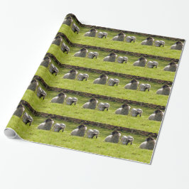 Papel De Presente Ovinos Com Primavera