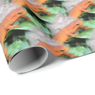 Papel De Presente Padrão Animal da Salamandra Laranja Vermelha  