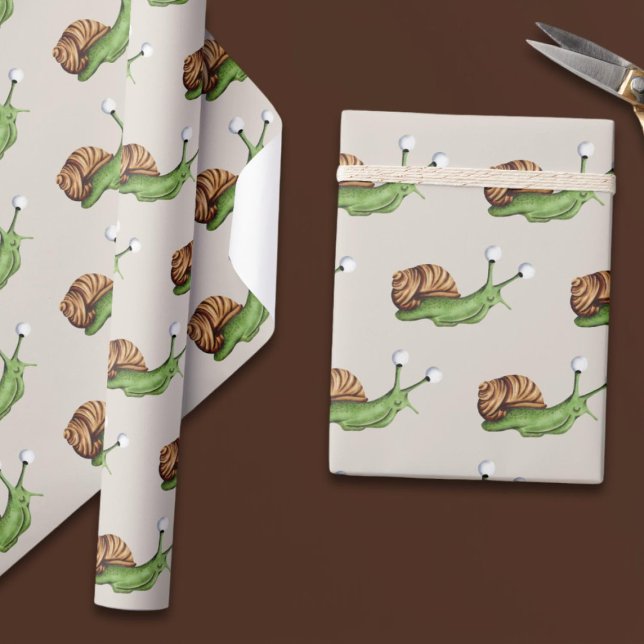 Papel De Presente Padrão de Caracol Verde-Cinto-Castanho (Criador carregado)