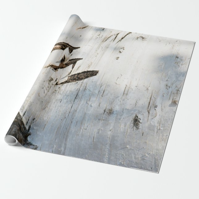 Papel De Presente padrão de casca de bétula (Desenrolado)
