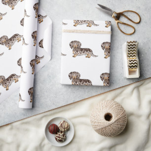 Papel De Presente Padrão De Dachshund De Cabelo Longo E De Chocolat