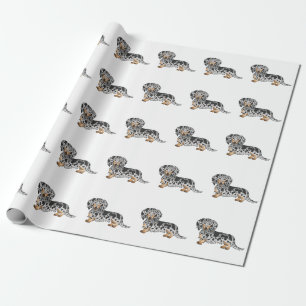 Papel De Presente Padrão De Dachshund De Cabelo Longo Preto E De Bar