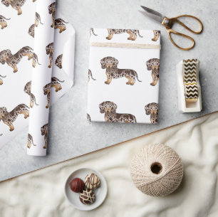 Papel De Presente Padrão de Dachshund de pelo curto marrom e bege da
