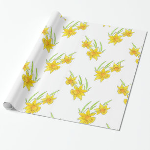 Papel De Presente Padrão de Daffodil Pan e Watercolor