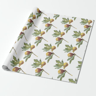 Papel De Presente Padrão de Figo
