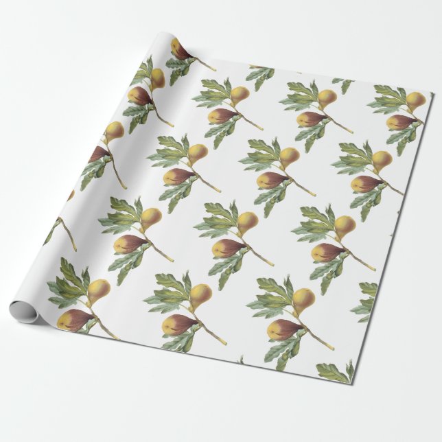 Papel De Presente Padrão de Figo (Desenrolado)