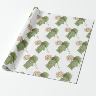 Papel De Presente Padrão de Flor de Bola de Neve Rosa