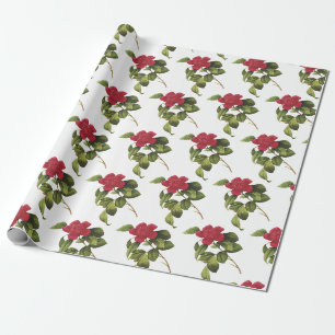 Papel De Presente Padrão de Flor de Camélia