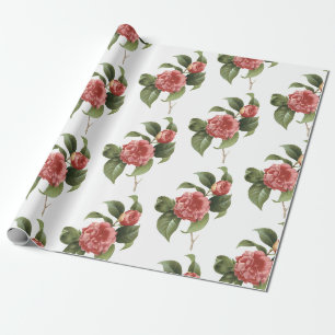 Papel De Presente Padrão de Flor de Camélia