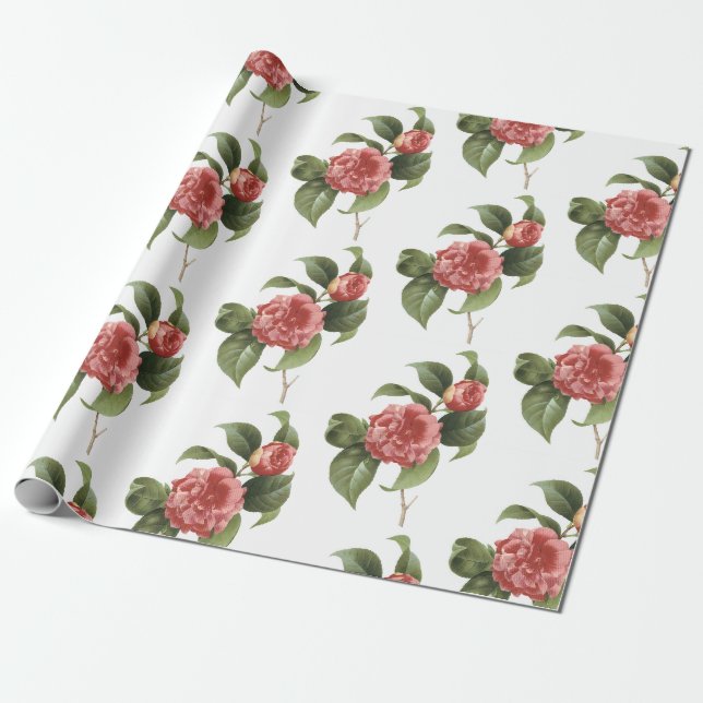 Papel De Presente Padrão de Flor de Camélia (Desenrolado)