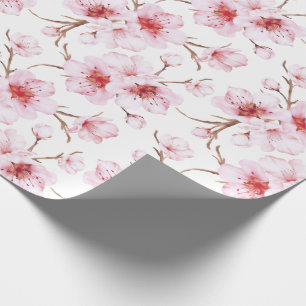 Papel De Presente Padrão de Flor de Cerejeira em Aquarela