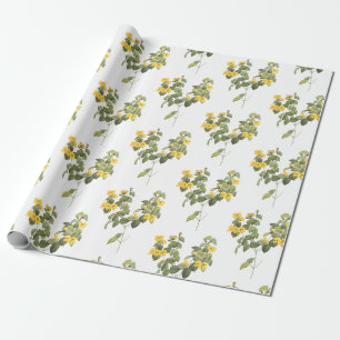 Papel De Presente Padrão de Flor de Ervilha Plana Bonita