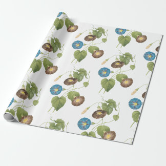 Papel De Presente Padrão de Flor de Ipoméia