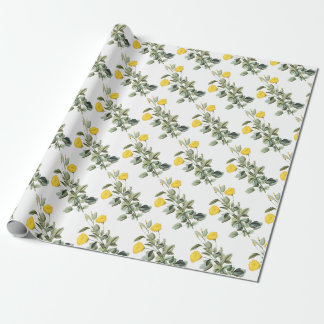 Papel De Presente Padrão de Flor de Malva