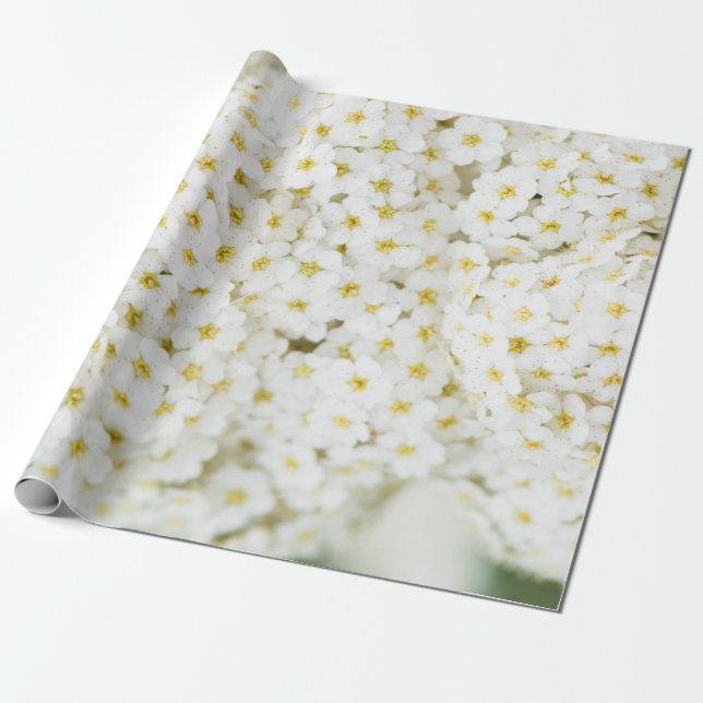 Papel De Presente Padrão de flores brancas (Desenrolado)