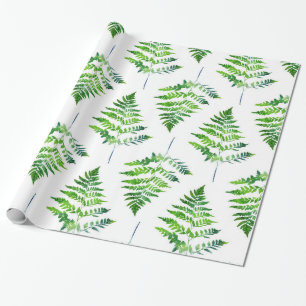 Papel De Presente Padrão de Folhas de Fern