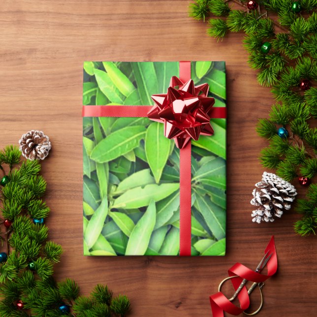 Papel De Presente Padrão de Folhas Verde Lush - Botânica da Natureza (Presente de Natal)
