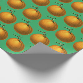 Papel De Presente Padrão de Fruta de laranja botânico em verde