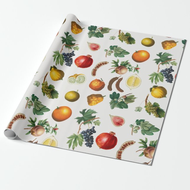 Papel De Presente Padrão de Fruta do Mediterrâneo por Aquarela (Desenrolado)