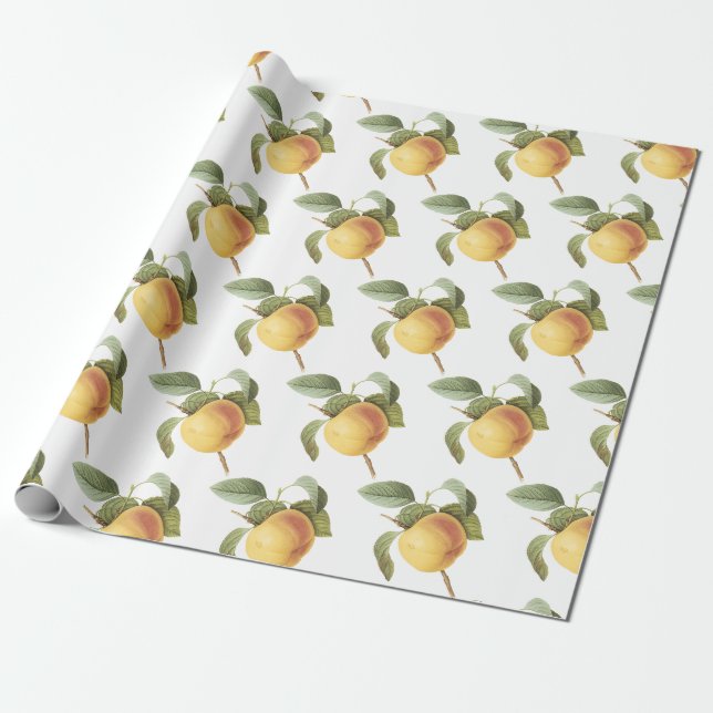 Papel De Presente Padrão de maçã Calville (Desenrolado)