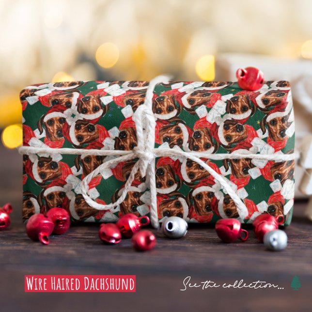 Papel De Presente Padrão de Natal de Dachshund Engraçado de Cabelo R (Criador carregado)